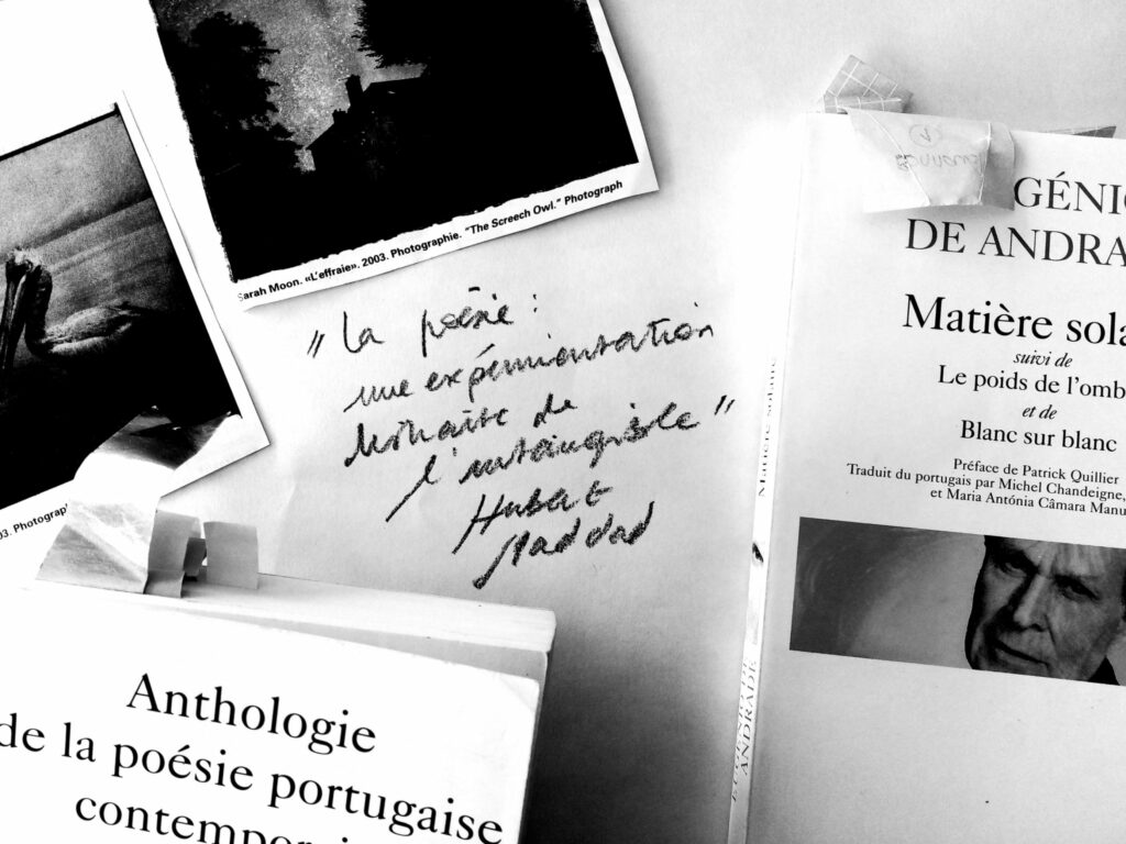 Ateliers d'écriture Toulouse Elise Vandel Librairie Ombres Blanches